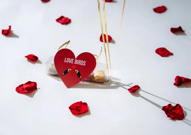 E-choppers à l'Hôtel Gent