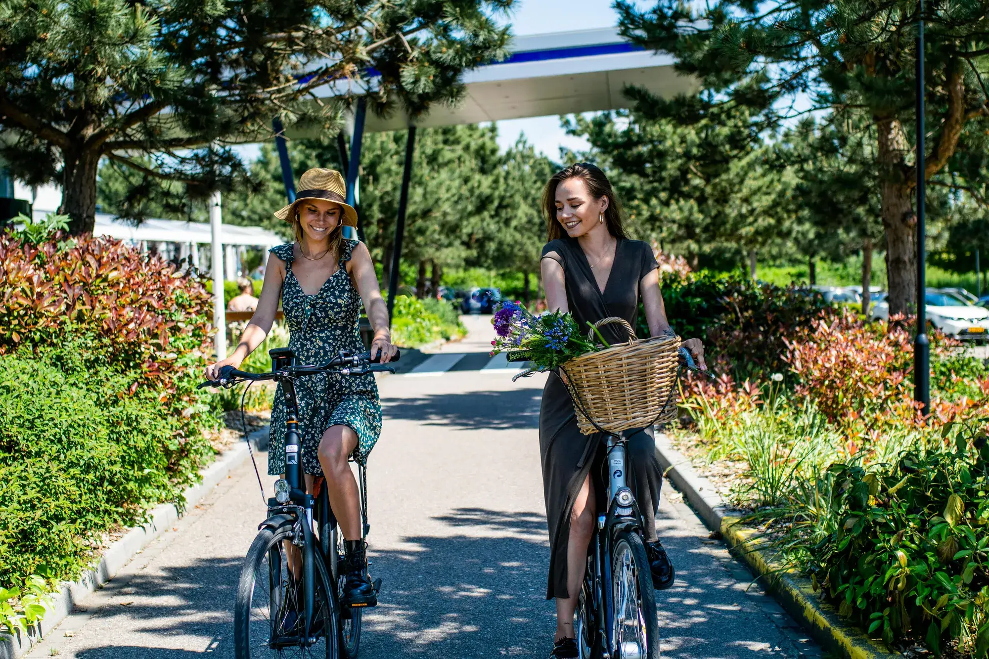 Cycling Sassenheim