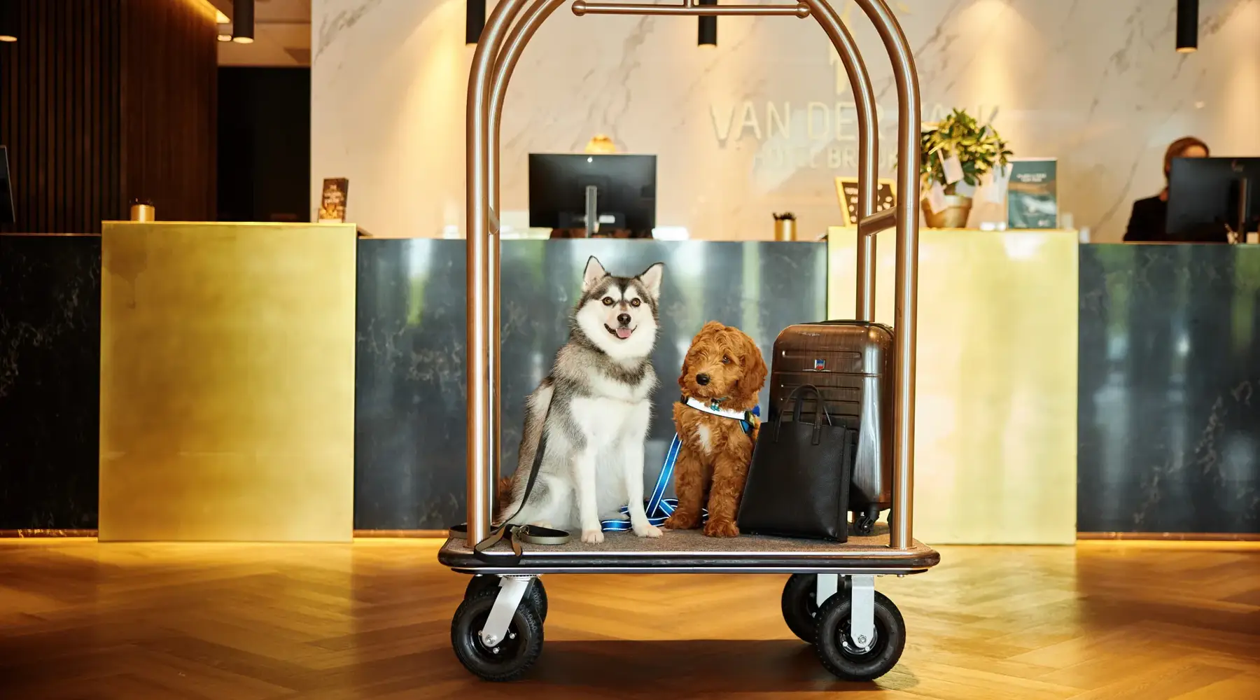 2 chiens dans une remorque à bagages d'un hôtel Van der Valk