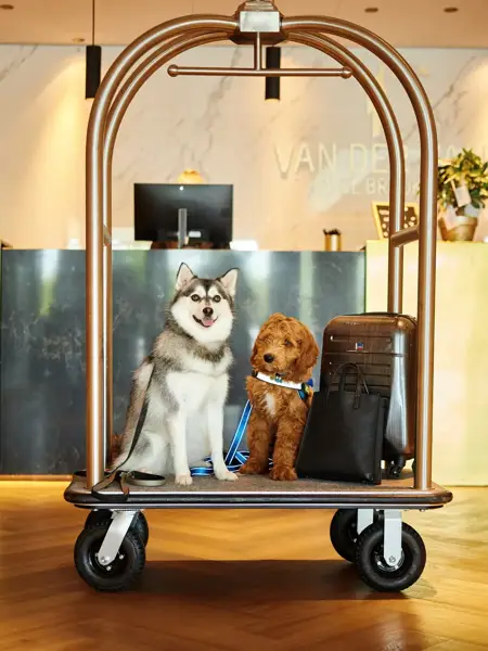 2 Hunde in einem Gepäckwagen in einem Hotel
