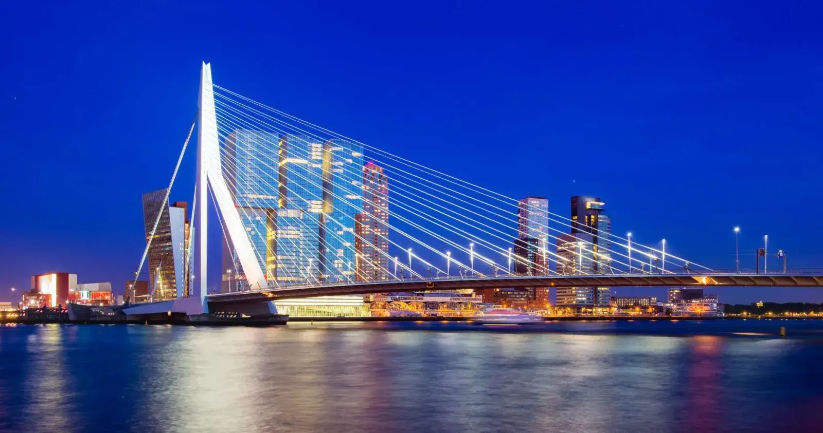 Rotterdam Special