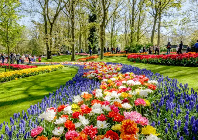 Frühjahr in Sassenheim