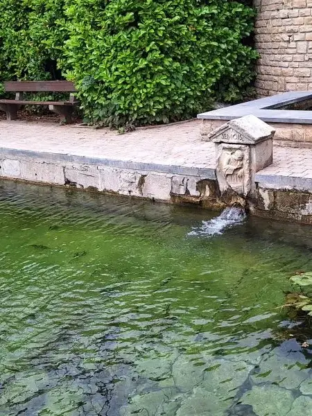 Die Quelle der Semois