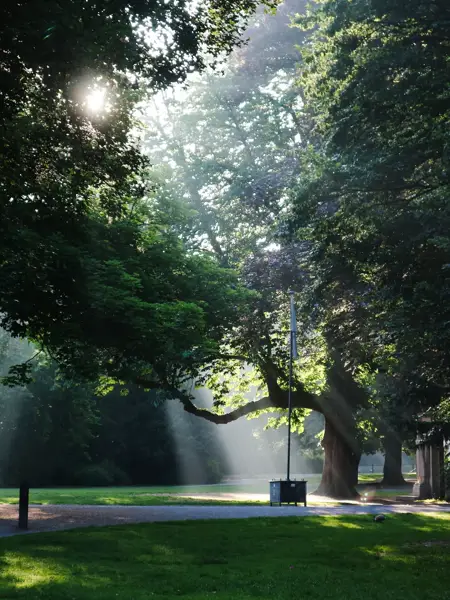 Stadspark