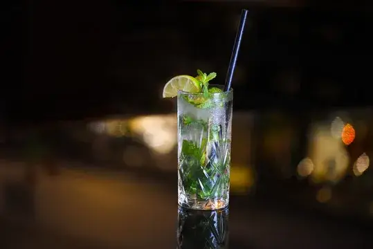 Mojito at Hotel Ridderkerk