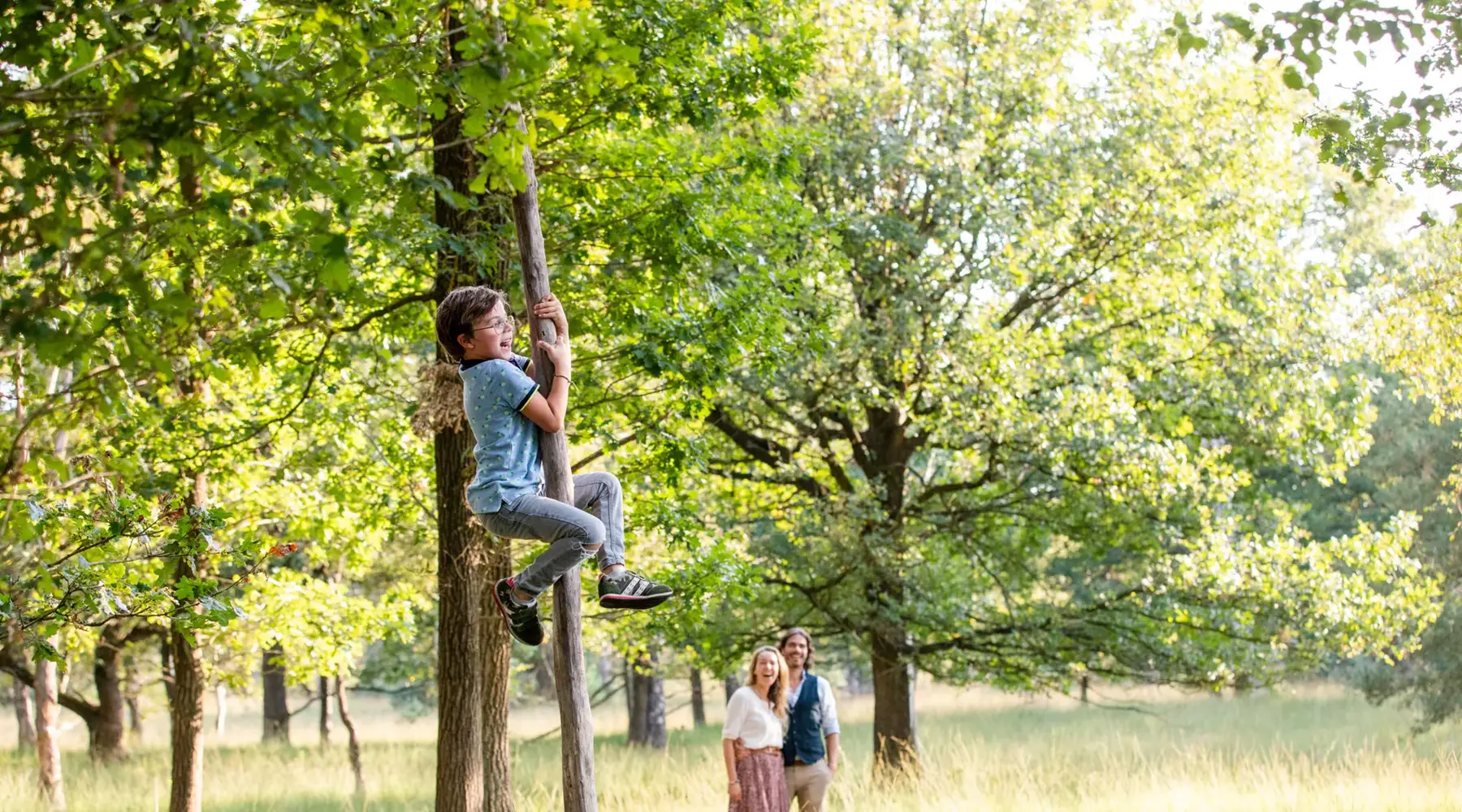 Kind klettert in einem Baum in der Natur.