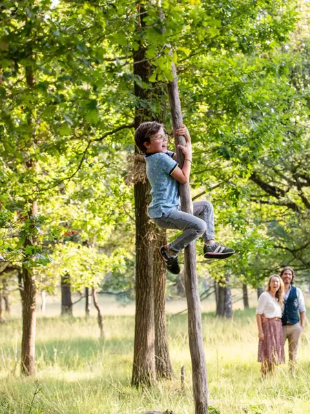 Boy climbs tree in the forest
