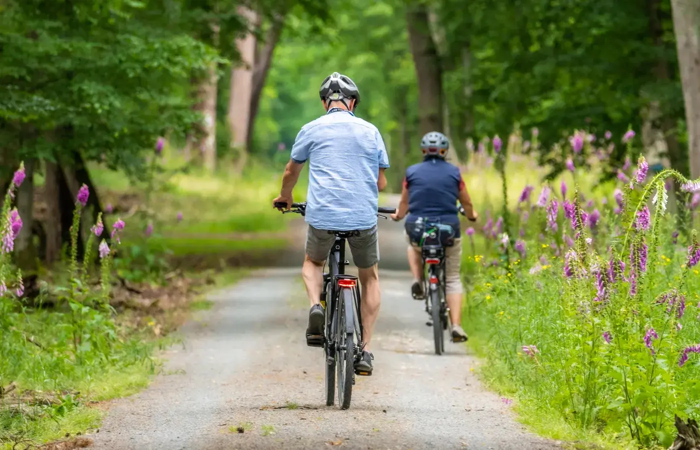 Brandenburg is een deelstaat in het oosten van Duitsland, bekend om zijn prachtige natuur. Met uitgestrekte bossen, heldere meren en schilderachtige rivieren biedt Brandenburg volop mogelijkheden voor outdooractiviteiten zoals wandelen, fietsen en varen. Geniet van de rust en ruimte in de natuur van Brandenburg.
