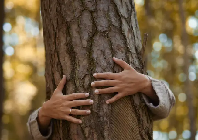 Forest bathing