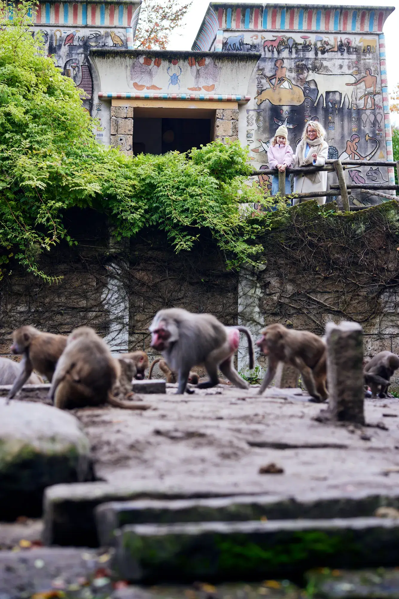 Dierenpark Amersfoort