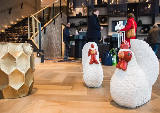 twee kippen op de vloer