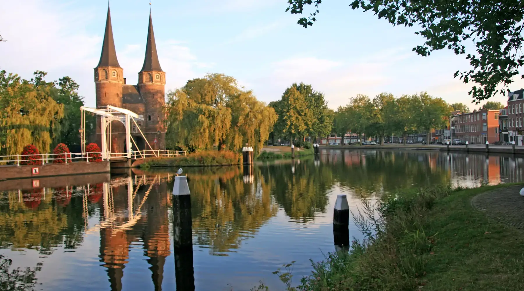 Delft