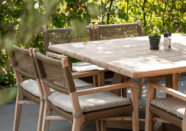 Terras