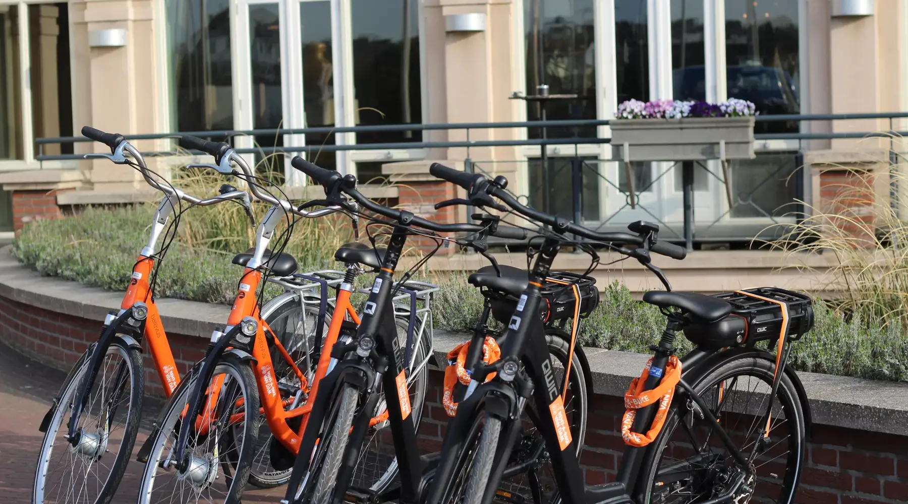 Bicycles available for rent at the Palace Hotel.