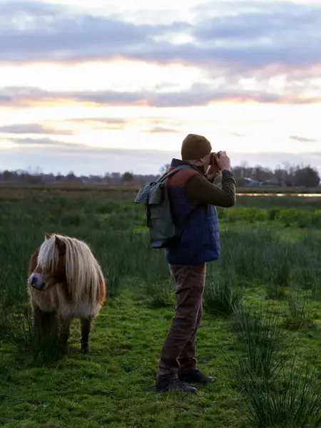Fotograf mit Shetlandpony in der Umgebung von Drachten