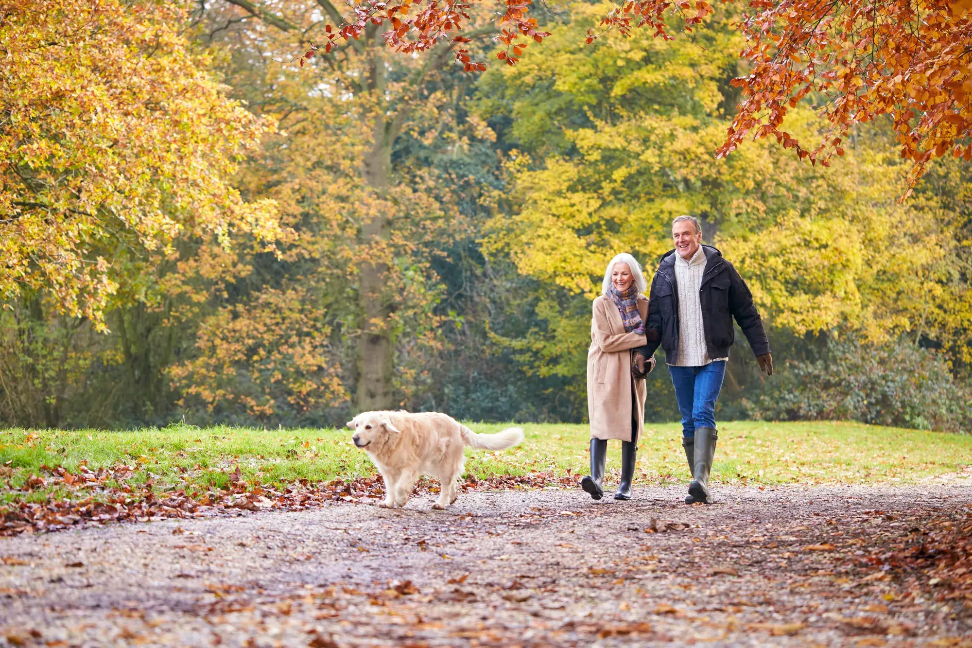 Couple se promenant avec chien