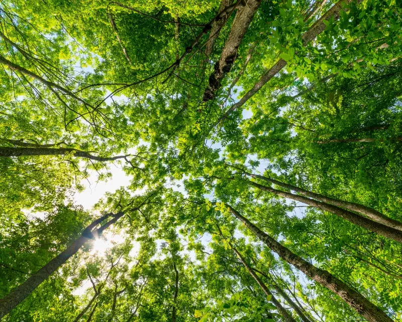 Environmental protection