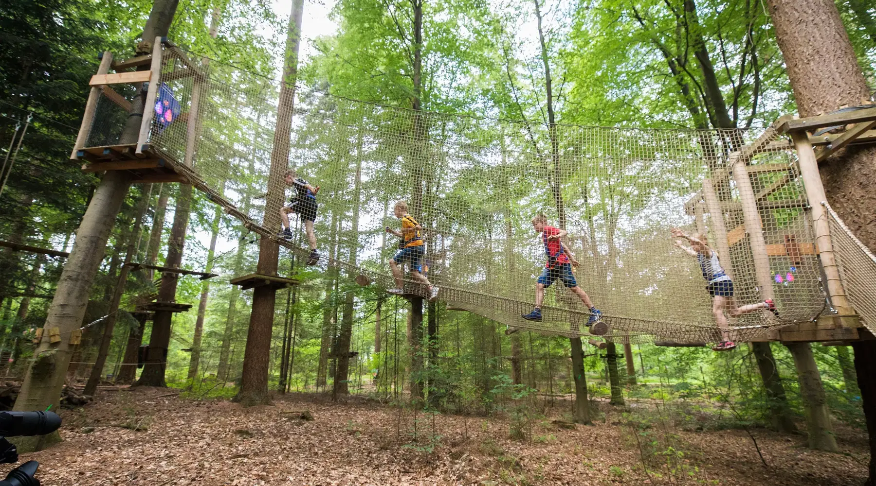 Kletterwald Garderen im Hoge Veluwe Nationalpark 