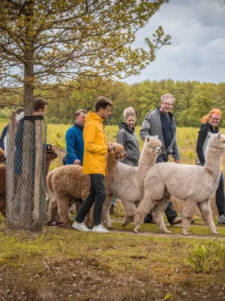 Texte alternatif de l'image