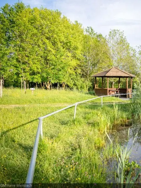 Das Arboretum von Frassem