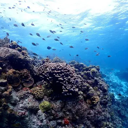 Washington Slagbaai Nationaal Park