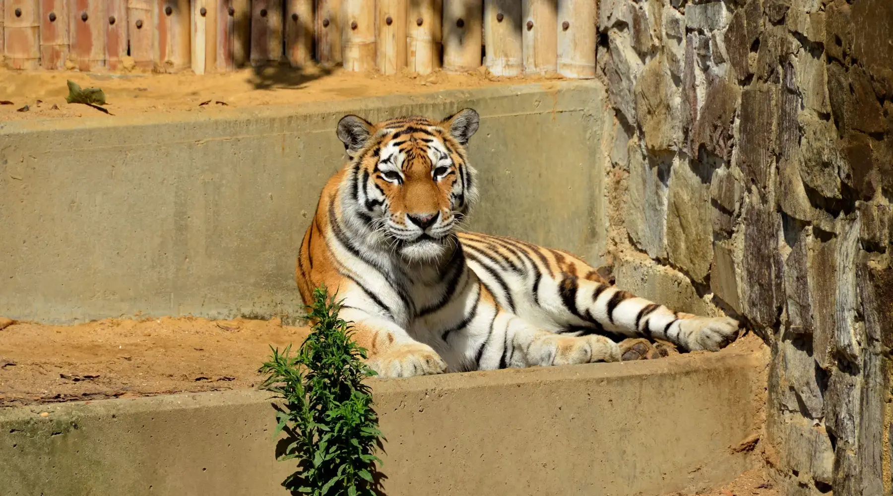 Zoo Antwerpen