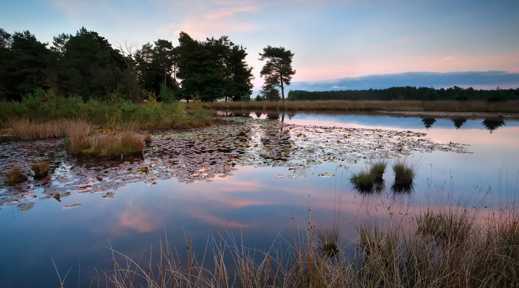 Drenthe