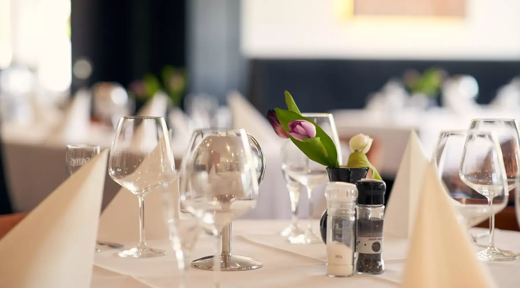 Restaurant Hotel Spornitz