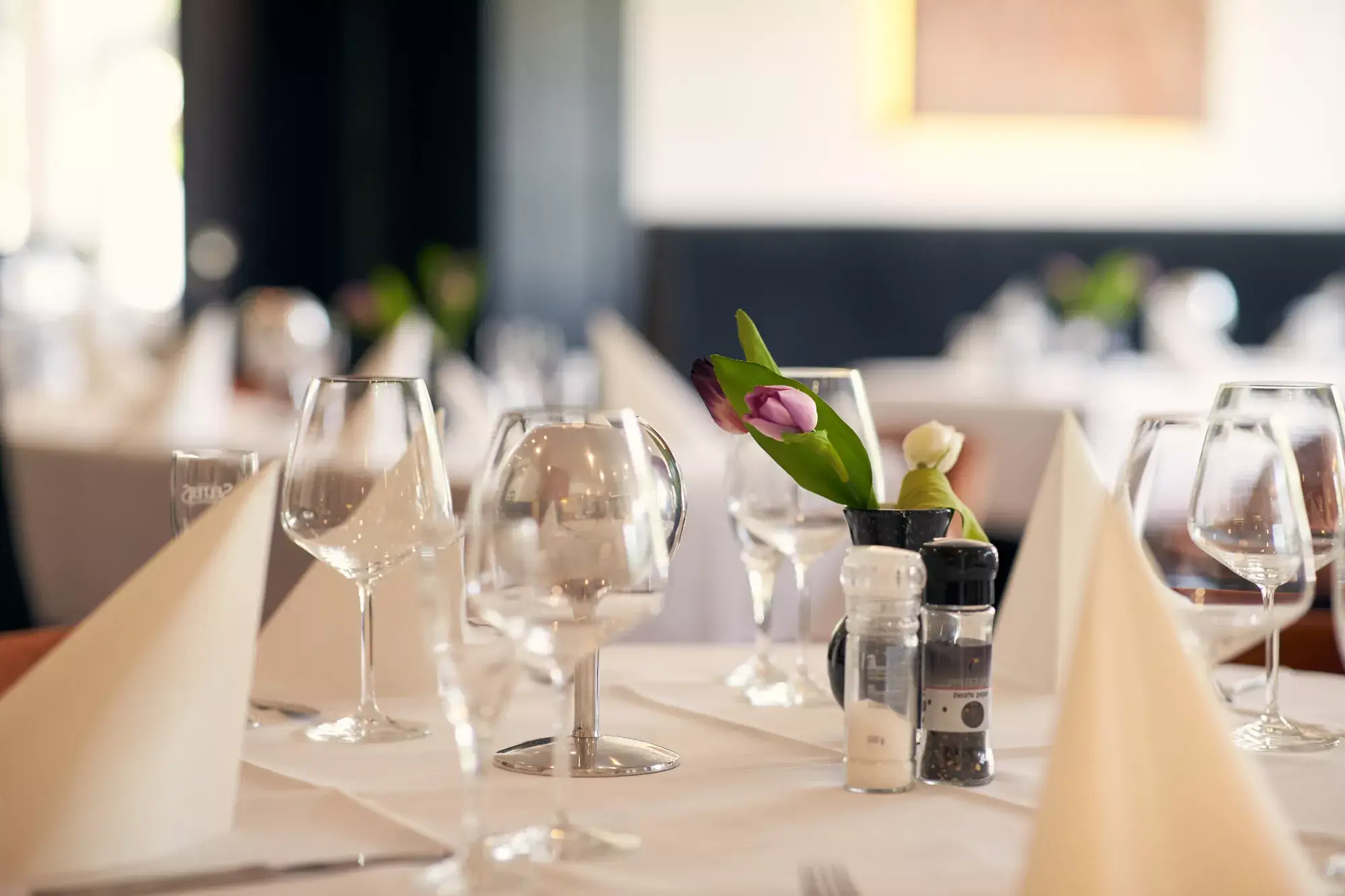 Restaurant Hotel Spornitz