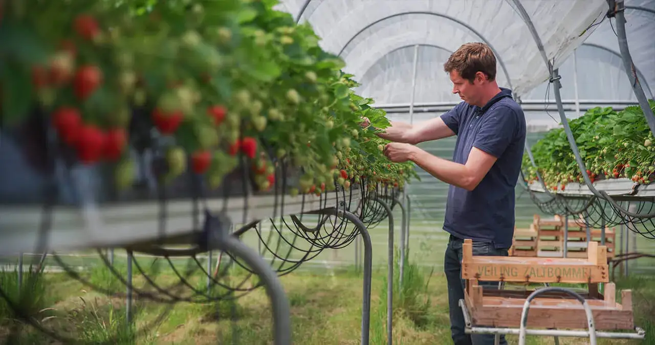 The Food Forest Texel