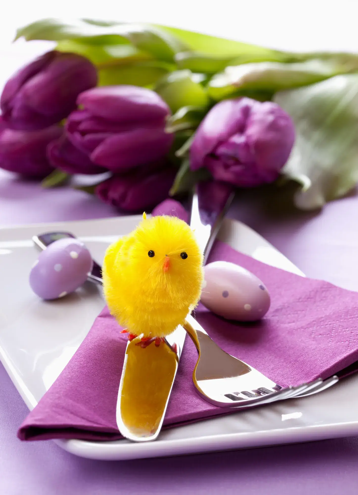 Easter brunch at Van der Valk Nature Resort Drewit