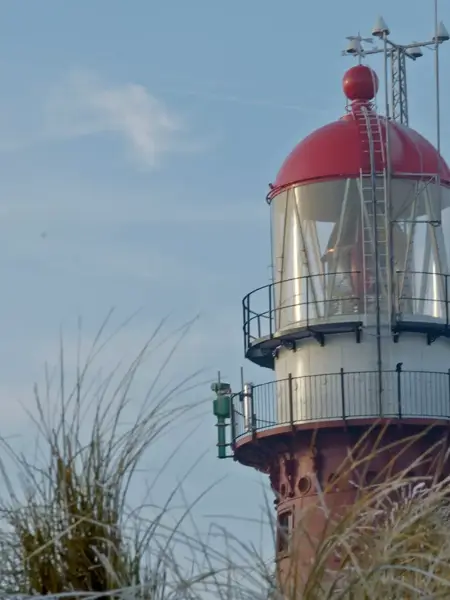 Tagesausflug nach Vlieland