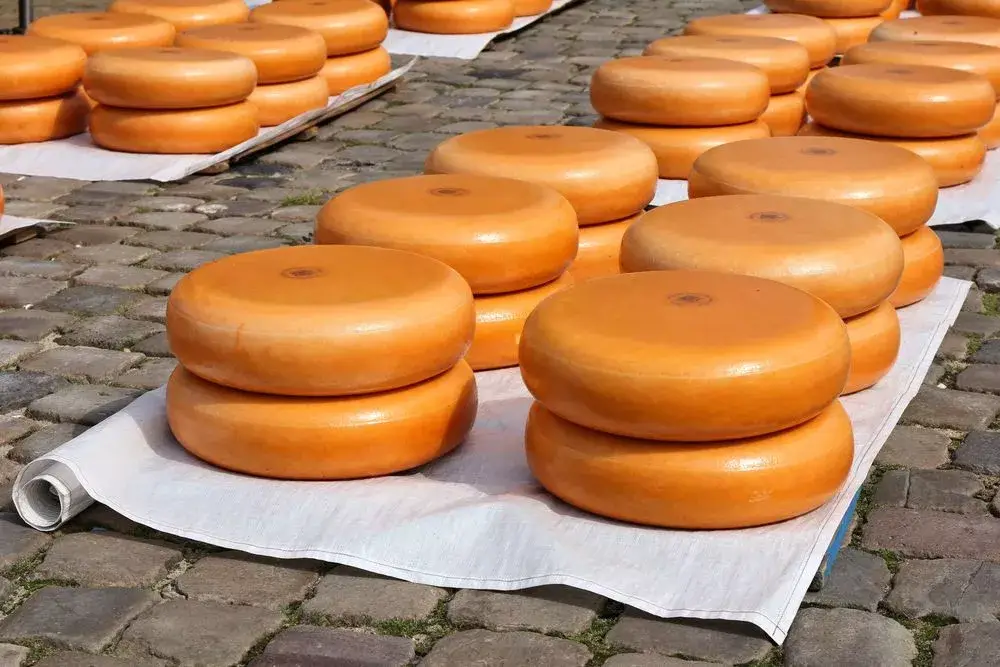 Cheese