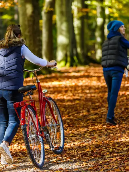 M5 - Rondroute Wellingholzhausen