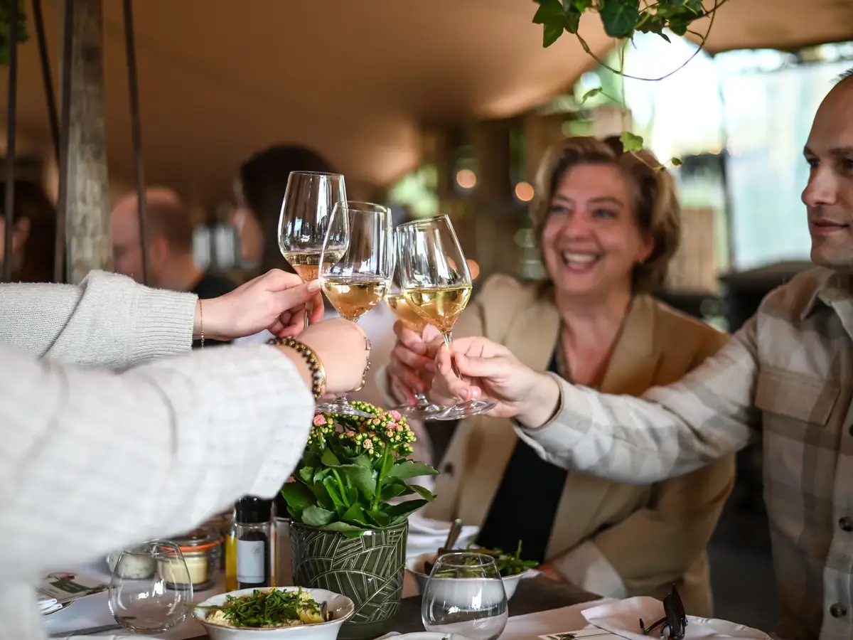 Groep mensen proost met wijn aan een opgemaakte tafel tijdens een diner.
