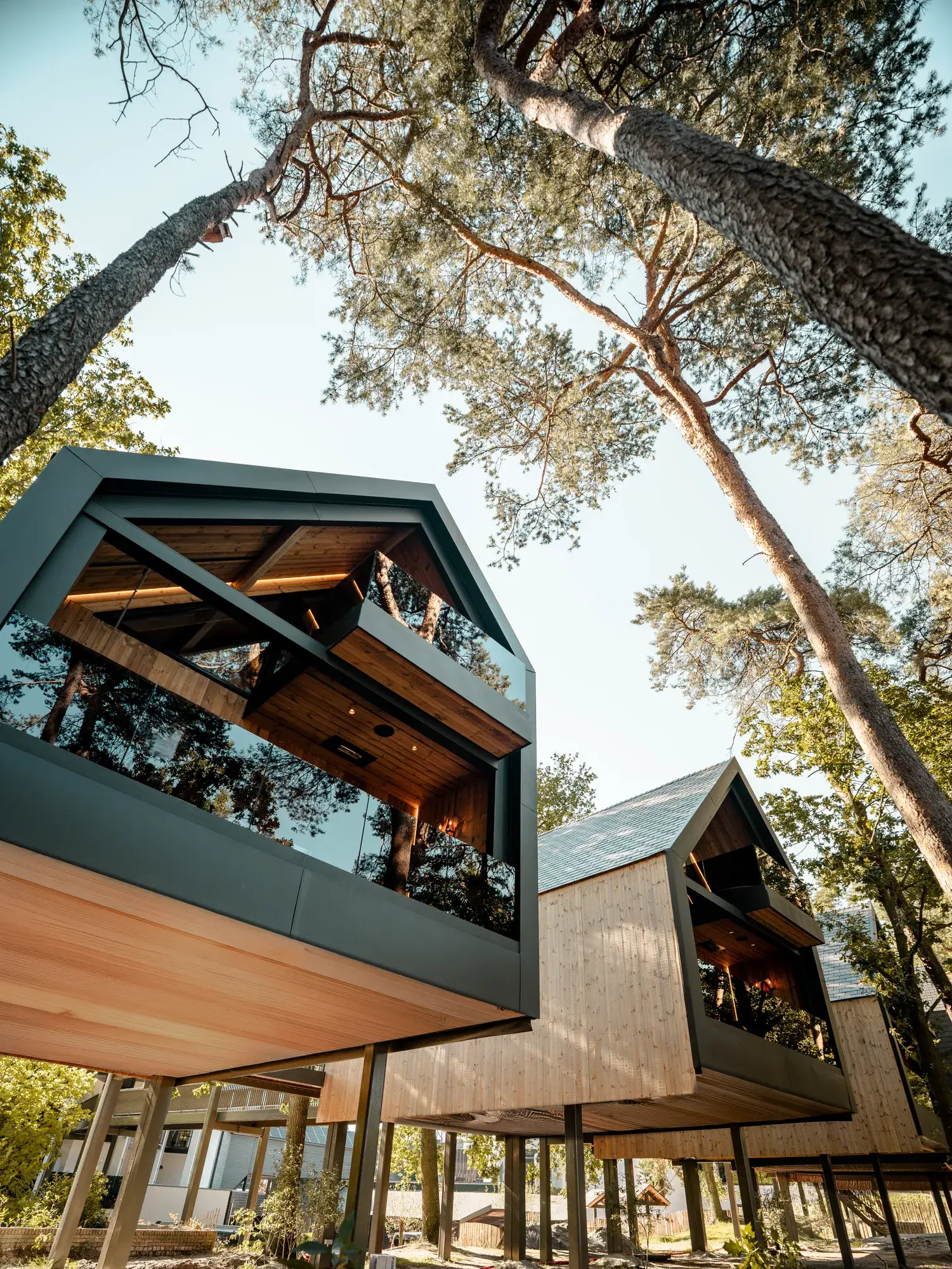 Luxe boomhut suites