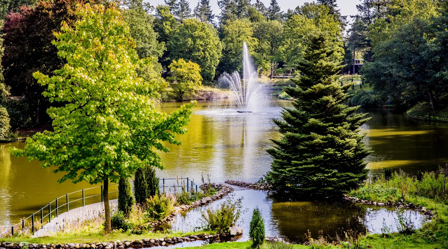 Photo of the greenery in City Park Berg & Bos