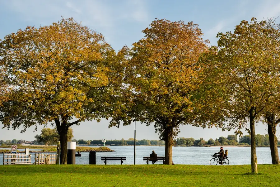 Herfst in Gorinchem