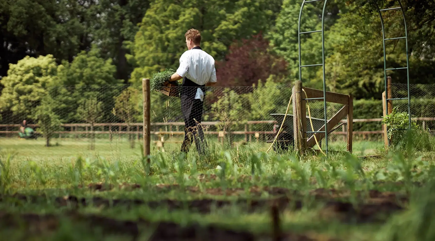 Kas in de moestuin