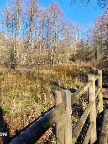Feuchtgebiet von Tattert