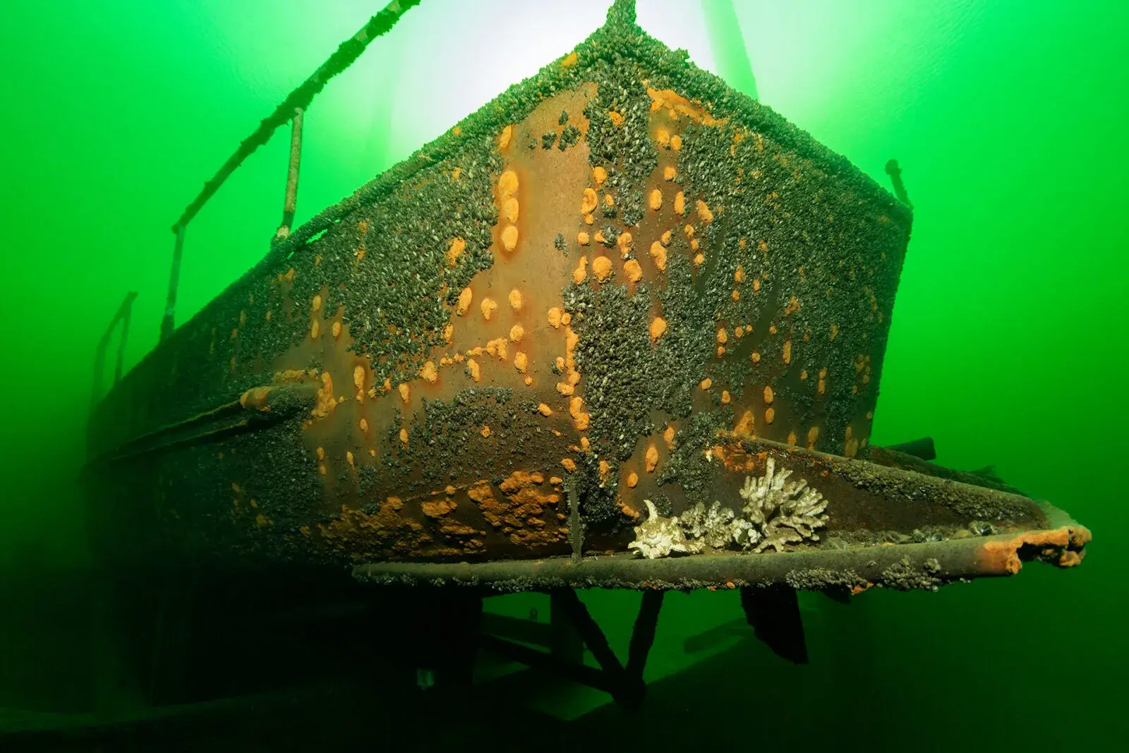 Shipwreck the Kiekuut
