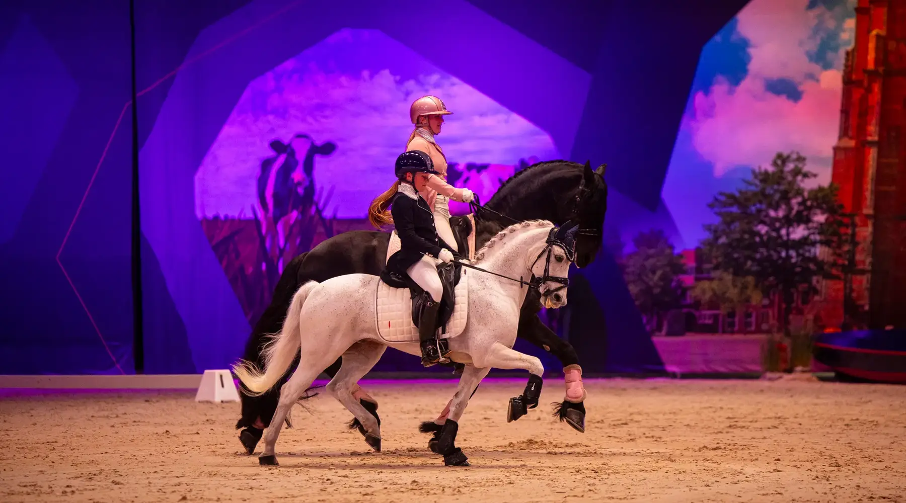 Indoor Friesland Paardensportevenement