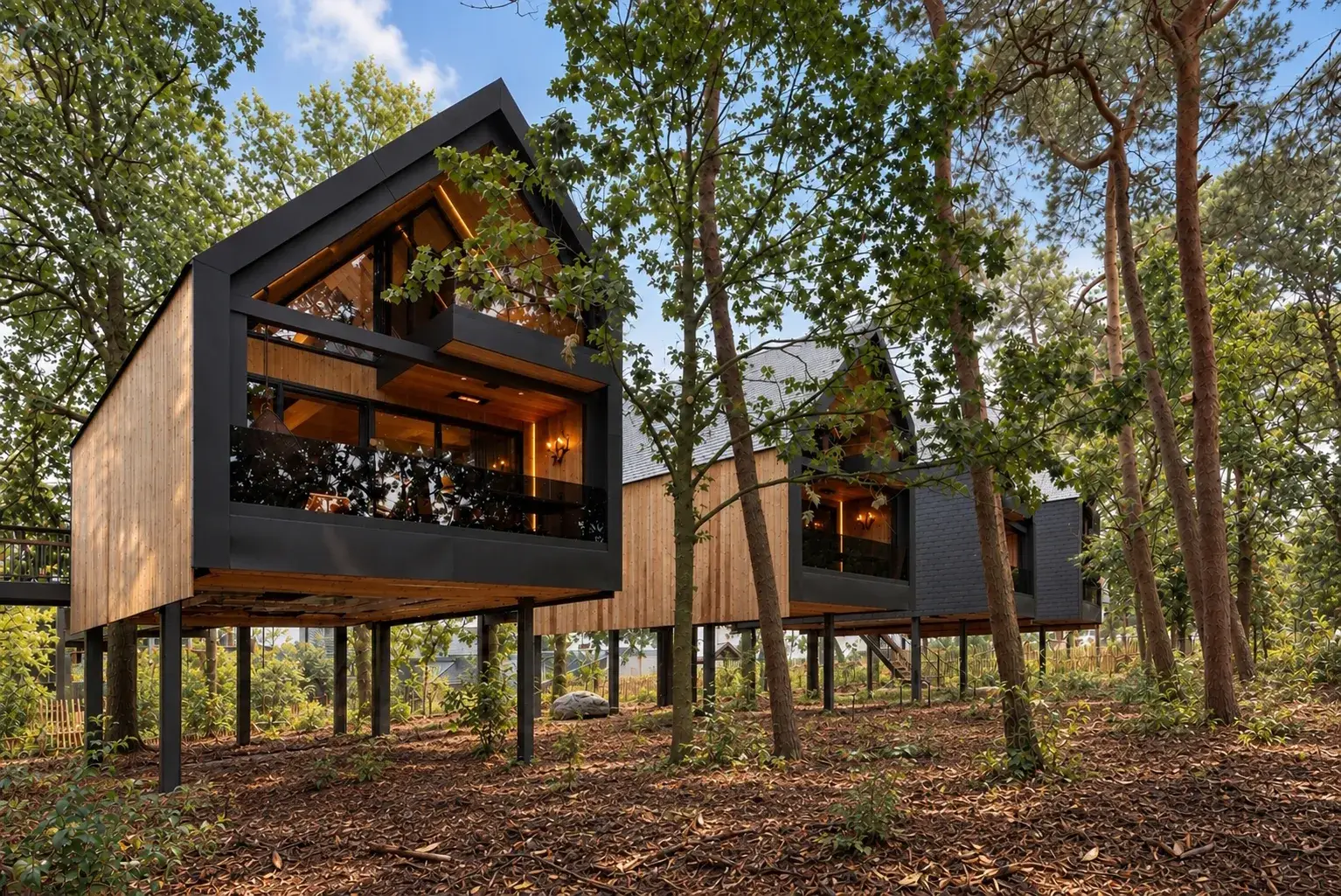 Luxury treehouse suites