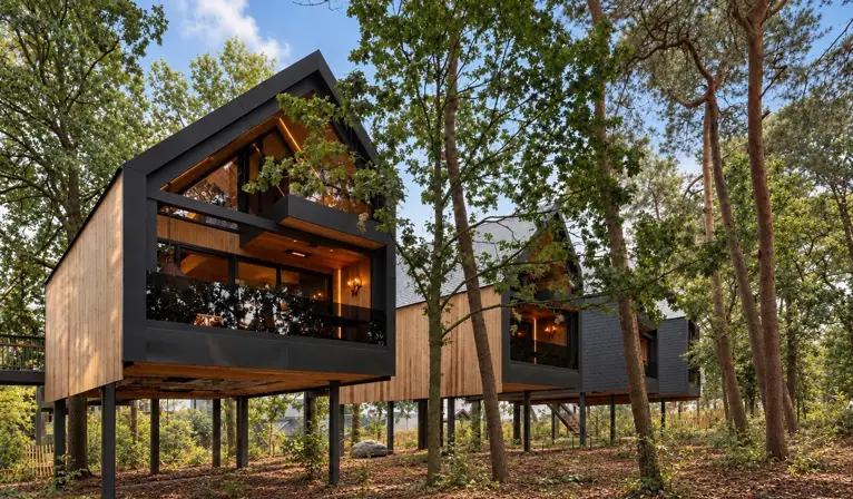 Luxury treehouse suites