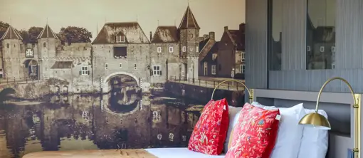 Coral Suite