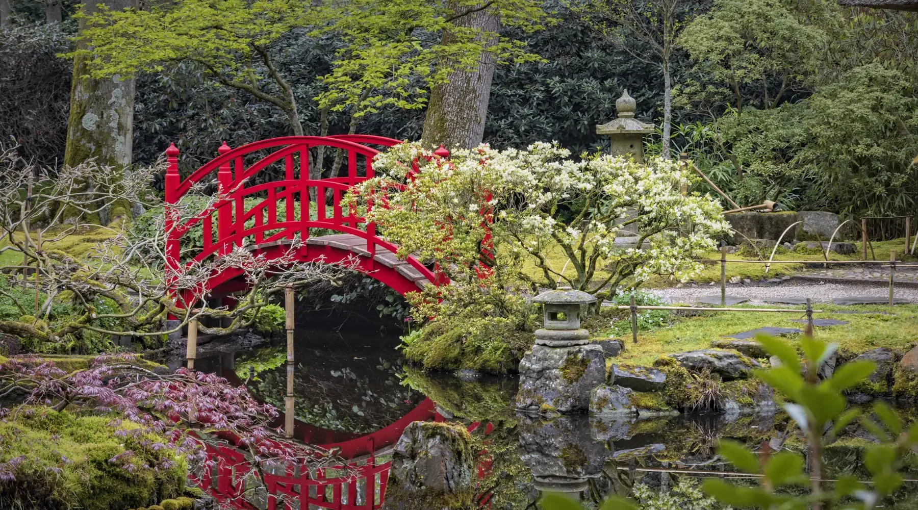Japanse tuin