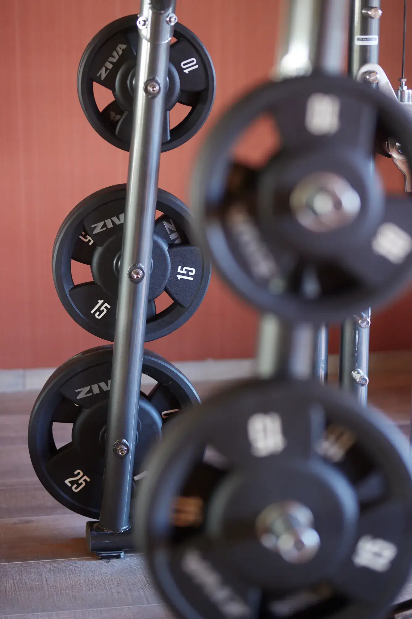 Fitness