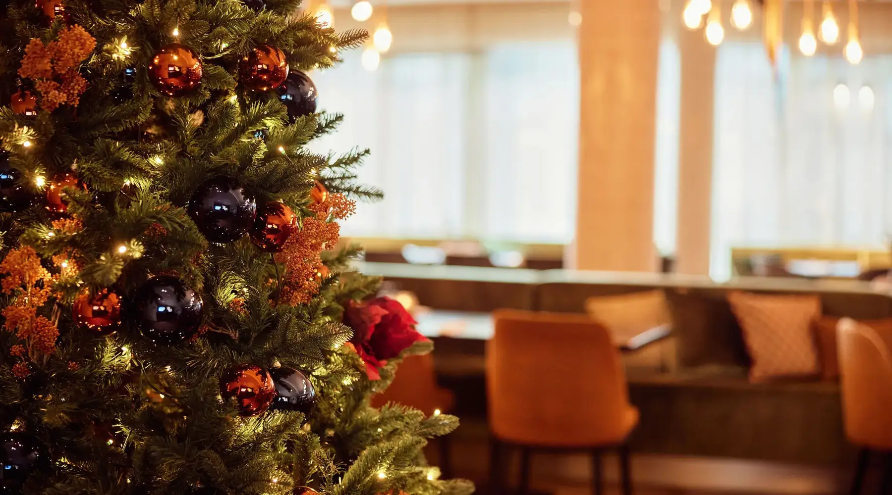 Le restaurant Lice Cooking de l'hôtel Gent est décoré pour les fêtes avec des sapins de Noël.