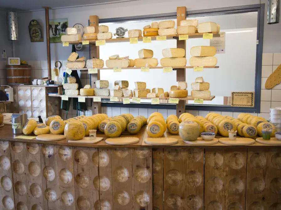 Pay a visit to Cheese Farm Wezenspyk!