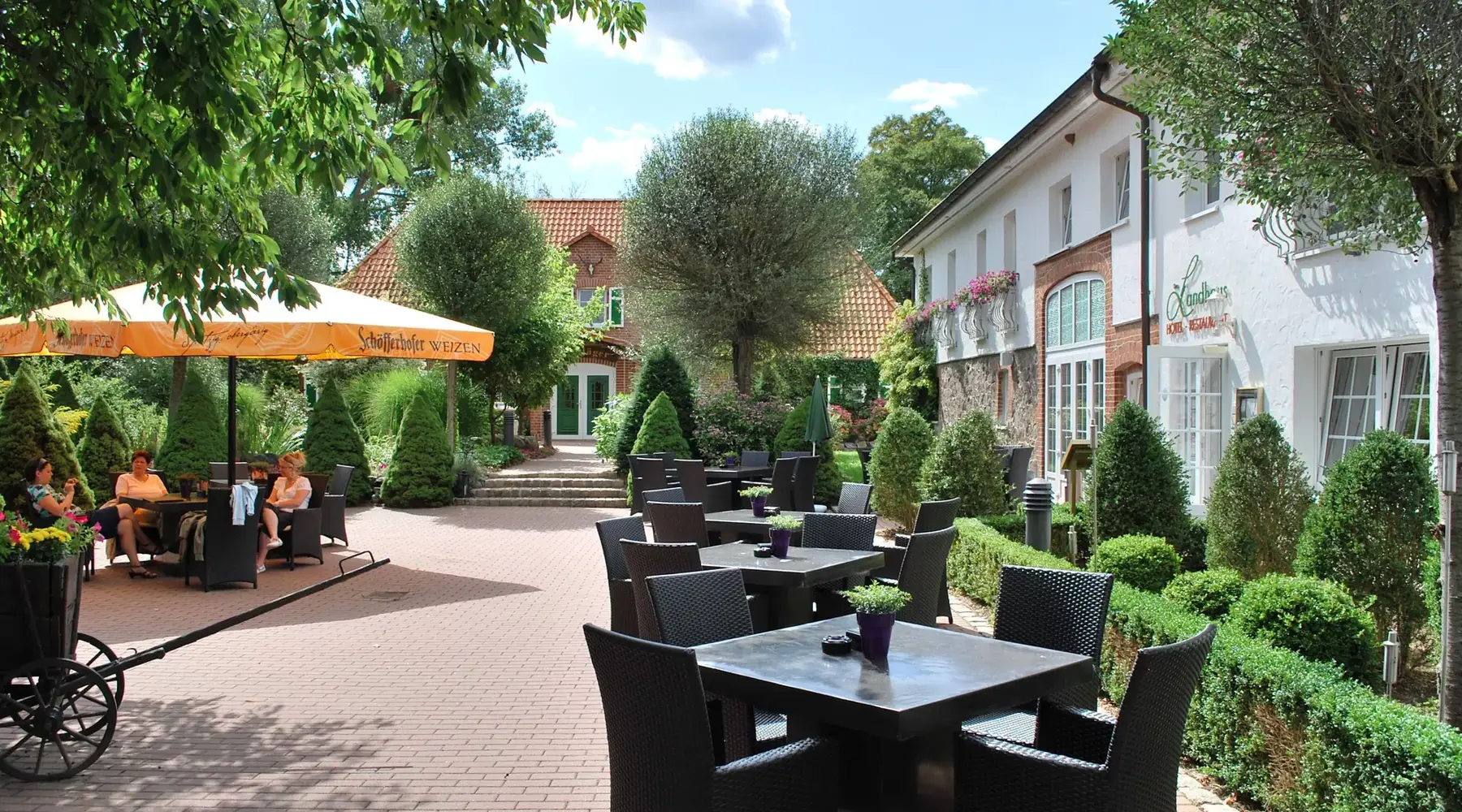 Terrasse